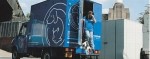 Lia is Parachuting for Battersea Dogs Home