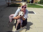 Lia is Parachuting for Battersea Dogs Home