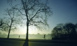 Hammerson Autumn Challenge
