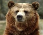Ian Hunter is running the 2009 London Marathon for the IFAW Charitable Trust