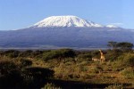 Kilimanjaro International Challenge - Jez perkins