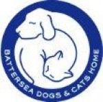 Lia is Parachuting for Battersea Dogs Home