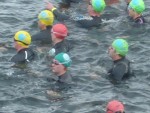 Elaine's Great Swim