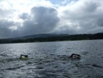 Great North Swim